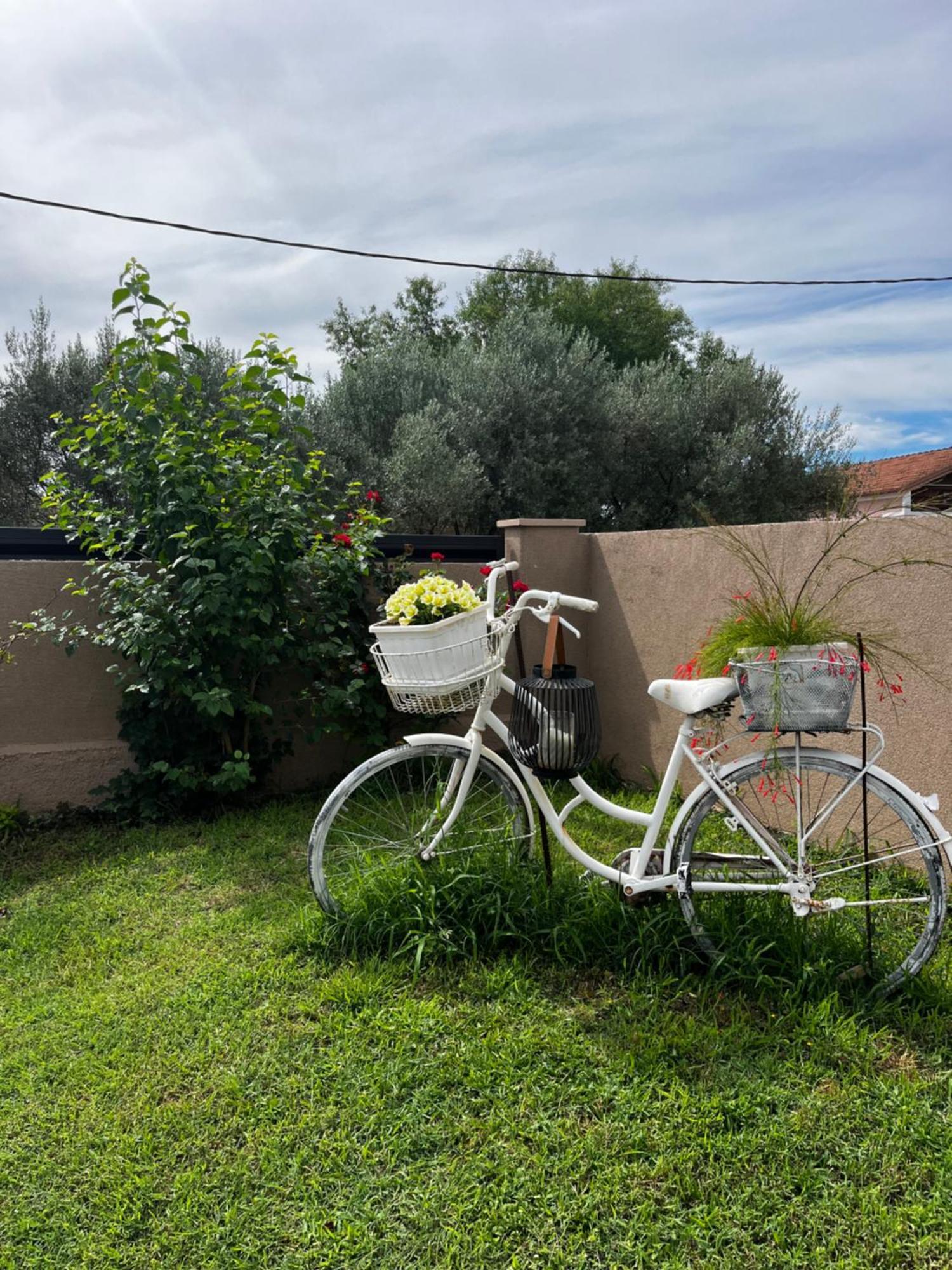 Apartman Marta Zadar Luaran gambar